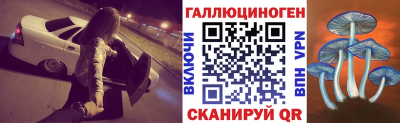 Галлюциногенные грибы Psilocybine cubensis  купить закладку  Дрезна 